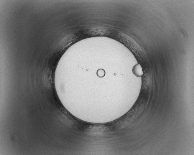 X0000116860414201001051428