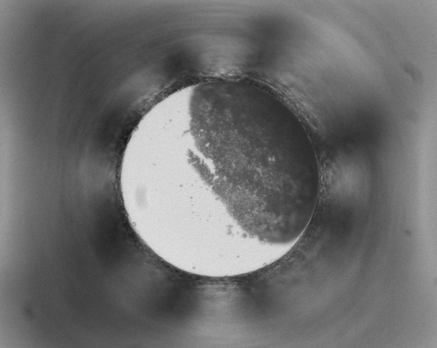 X0000116860415201001051428