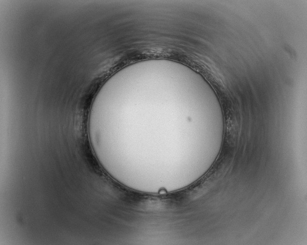 X0000116860416201001051428