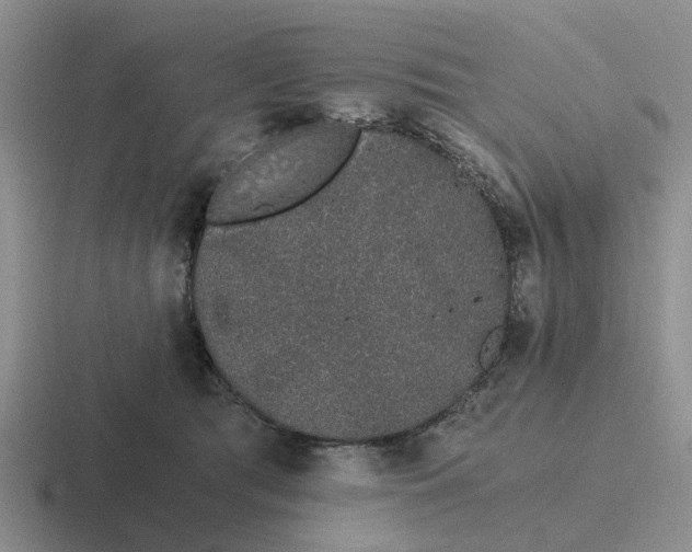 X0000116860417201001051428