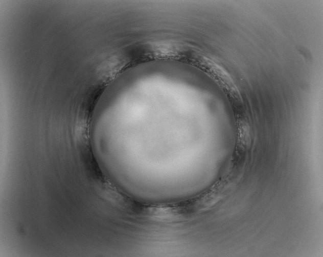 X0000116860419201001051428