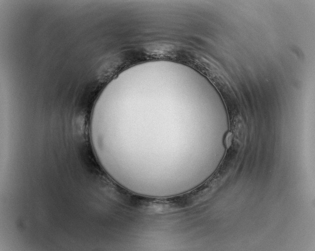 X0000116860420201001051428