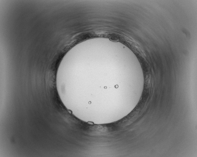 X0000116860421201001051428