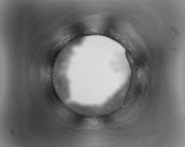 X0000116860423201001051428