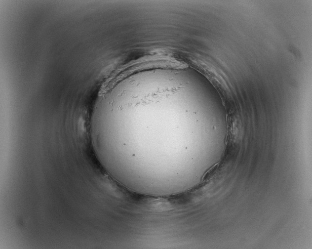 X0000116860424201001051428