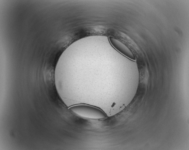 X0000116860425201001051428