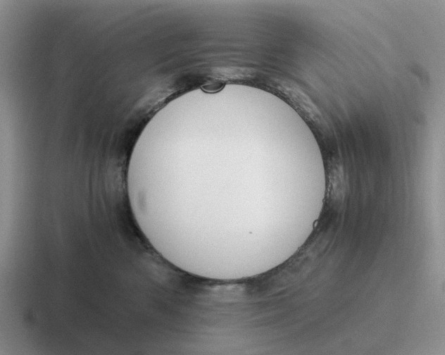 X0000116860426201001051428