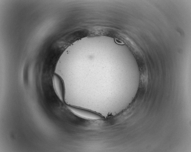 X0000116860429201001051428