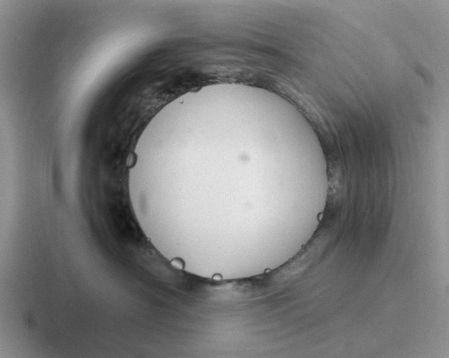 X0000116860430201001051428