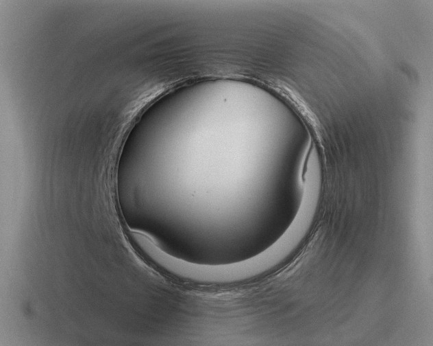 X0000116860433201001051428