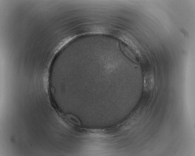 X0000116860436201001051428