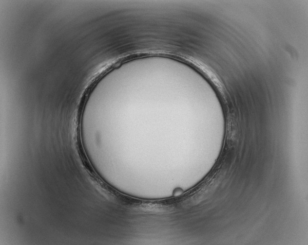 X0000116860437201001051428