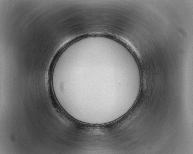 X0000116860439201001051428