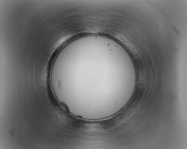 X0000116860440201001051428