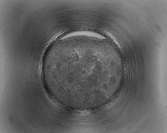 X0000116860443201001051428