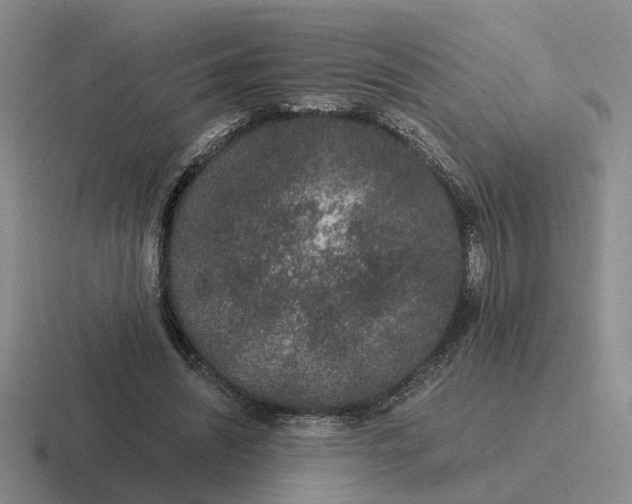 X0000116860444201001051428