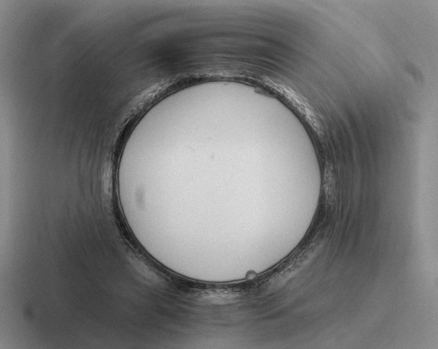 X0000116860445201001051428