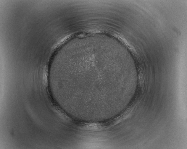 X0000116860446201001051428