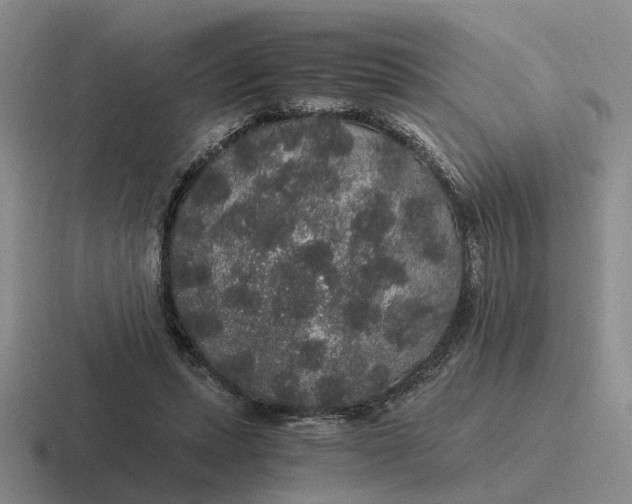 X0000116860447201001051428