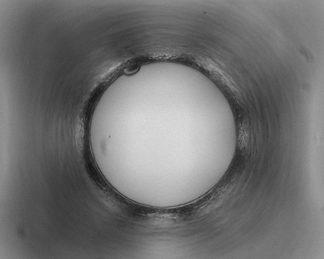 X0000116860448201001051428