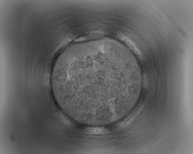 X0000116860449201001051428