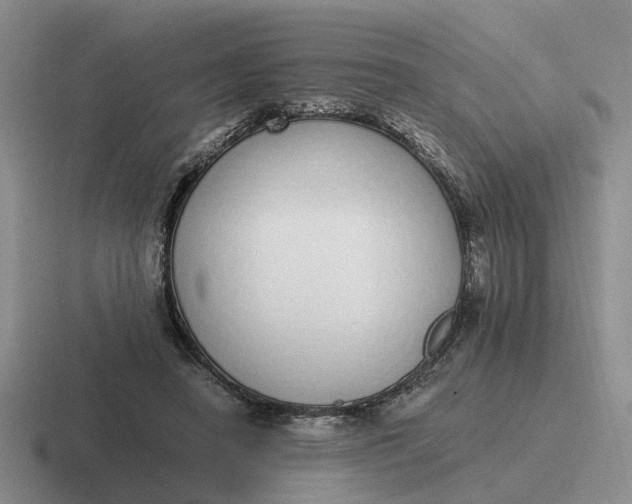 X0000116860450201001051428