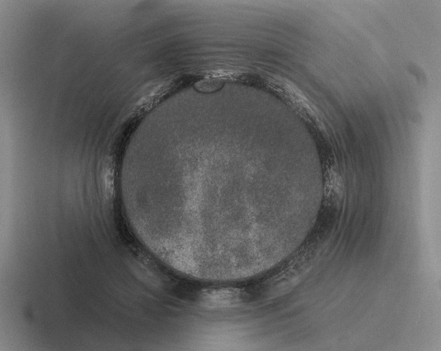 X0000116860452201001051428