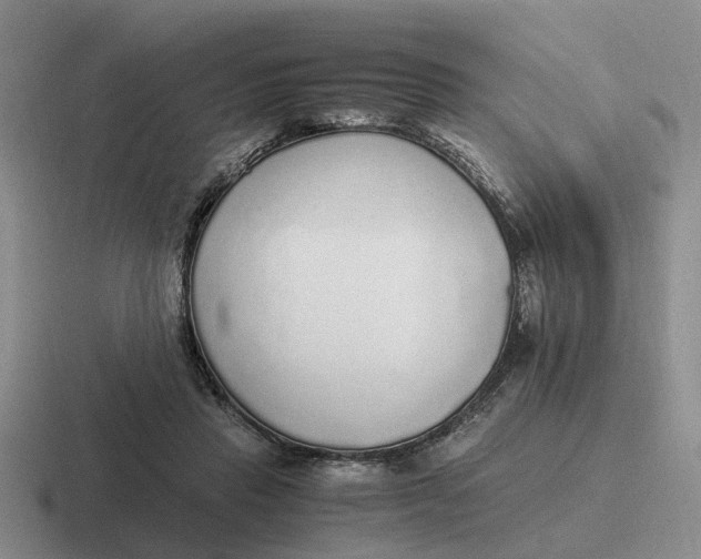 X0000116860453201001051428