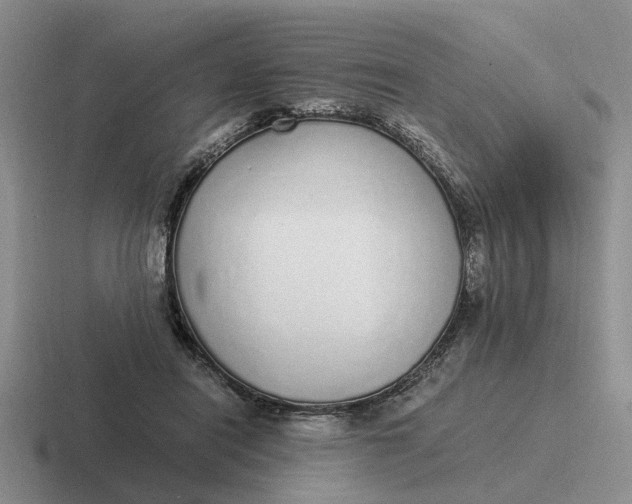 X0000116860454201001051428