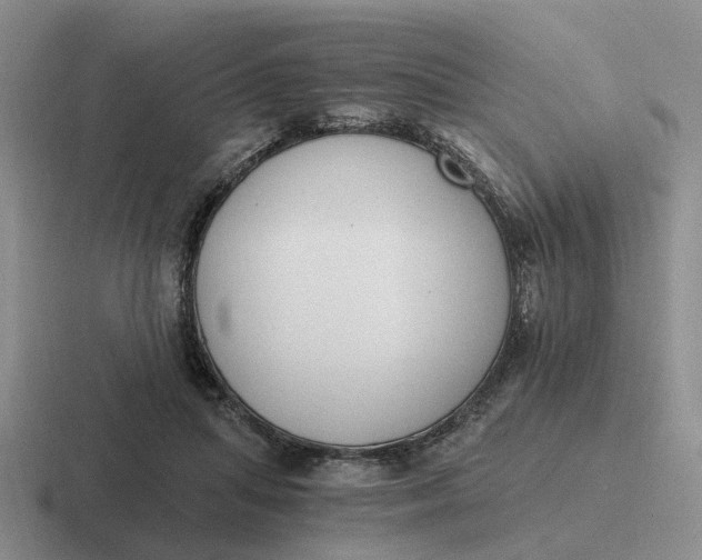 X0000116860455201001051428