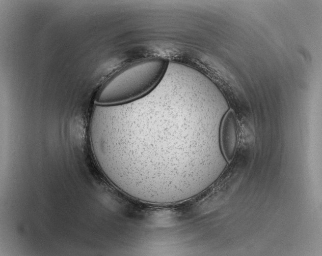 X0000116860456201001051428