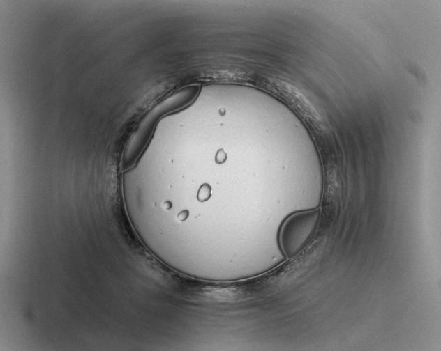 X0000116860457201001051428