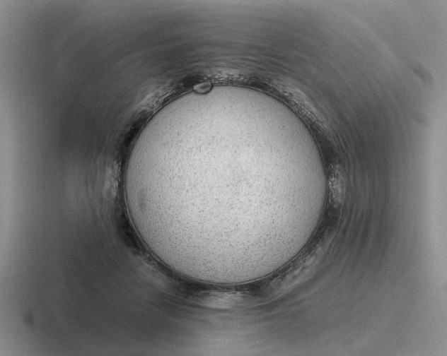 X0000116860458201001051428