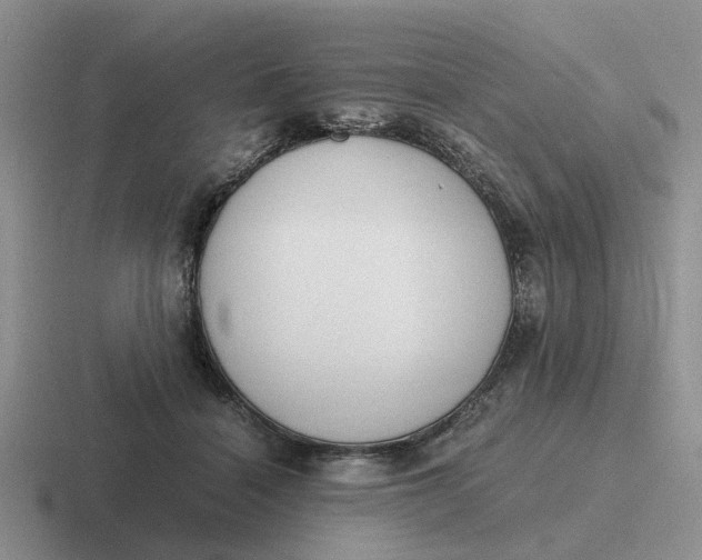 X0000116860460201001051428