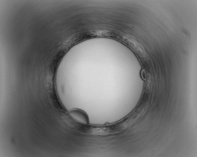 X0000116860461201001051428