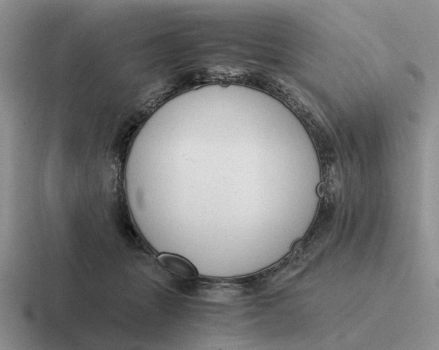 X0000116860463201001051428