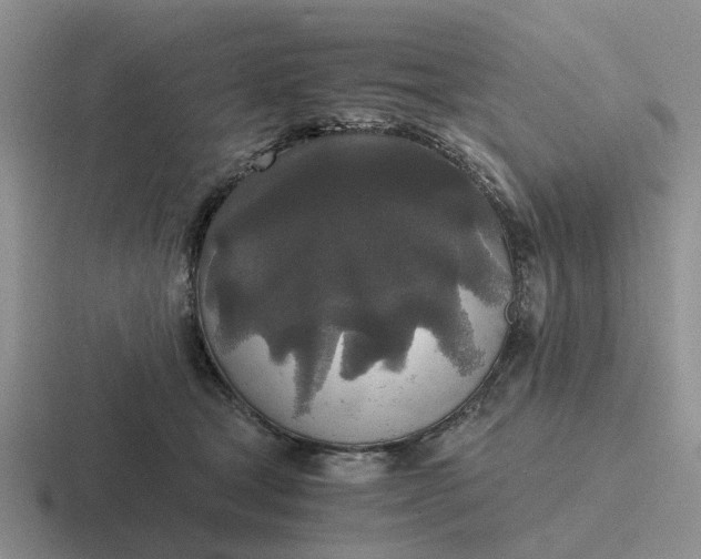 X0000116860465201001051428