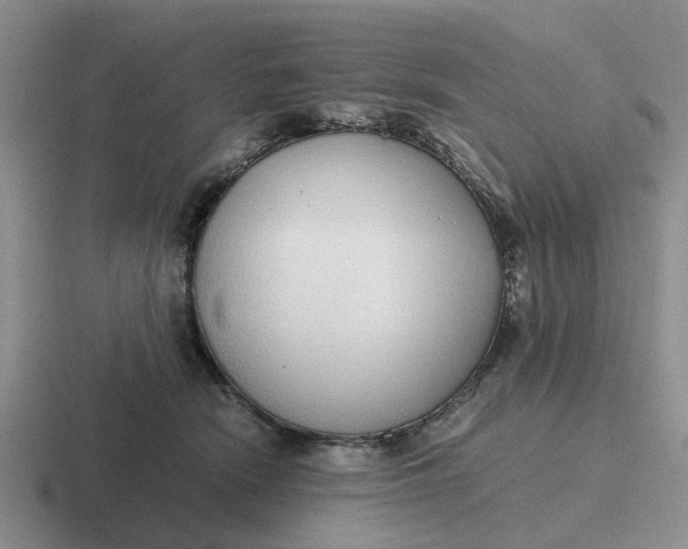 X0000116860466201001051428