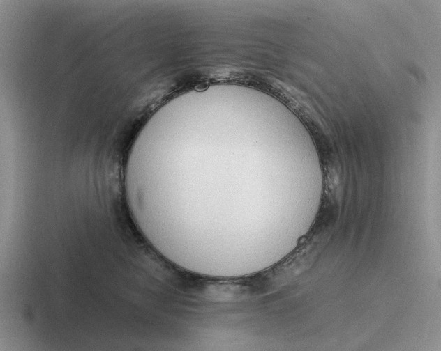 X0000116860470201001051428