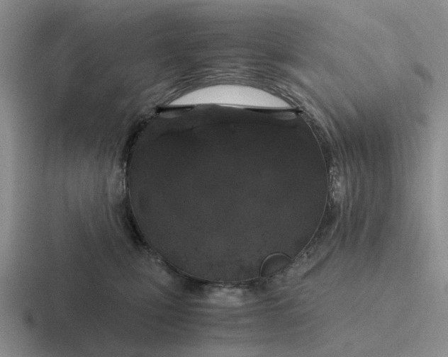 X0000116860471201001051428