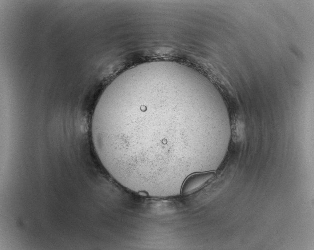 X0000116860472201001051428