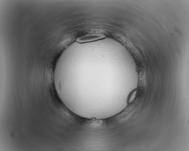 X0000116860474201001051428