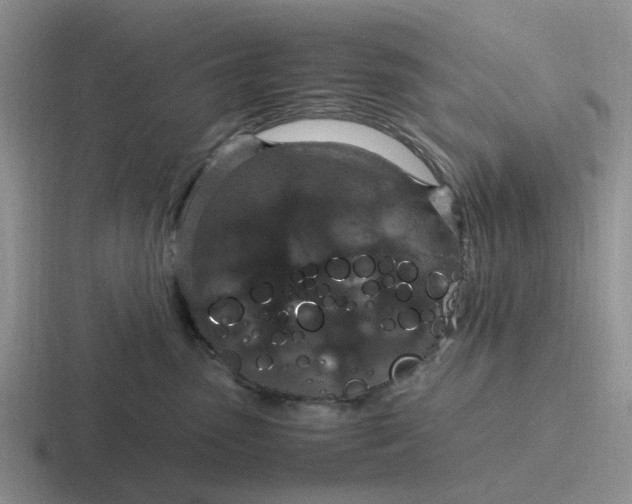 X0000116860475201001051428