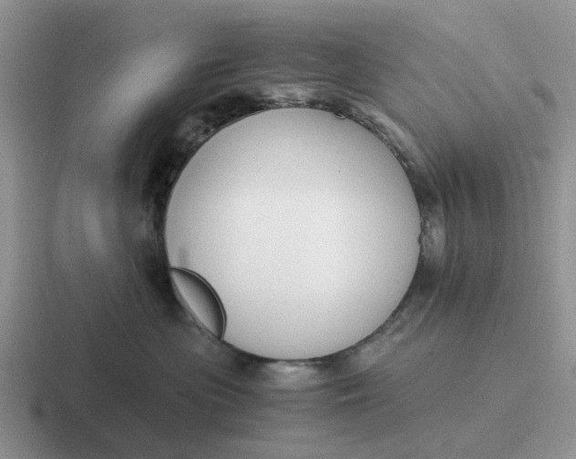 X0000116860477201001051428