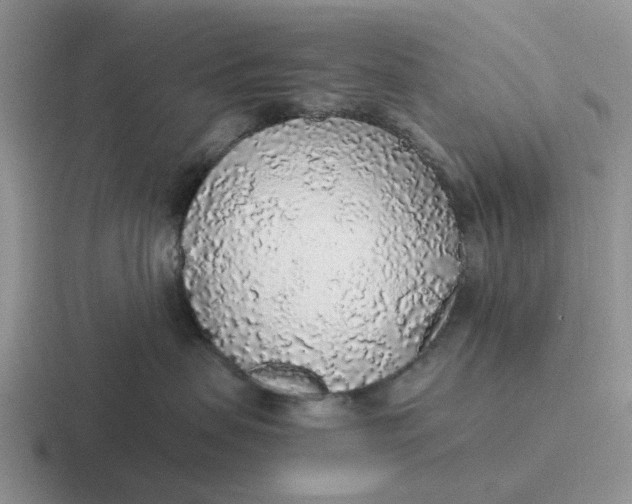 X0000116860479201001051428