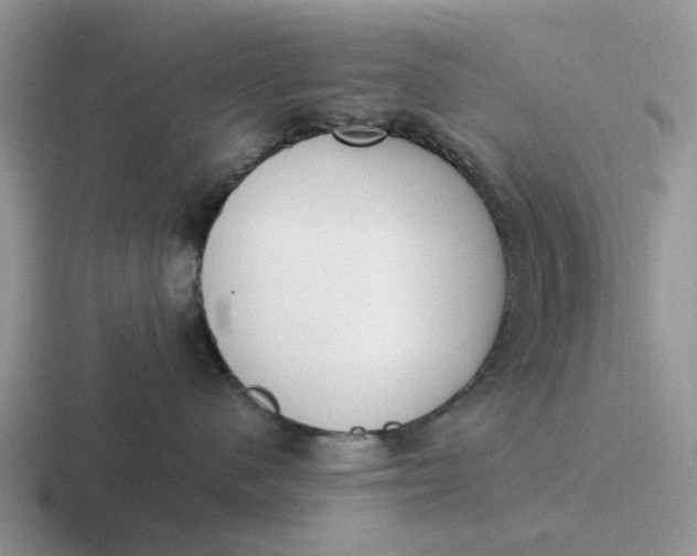 X0000116860480201001051428