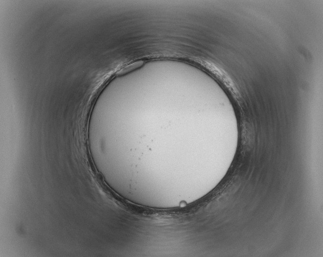 X0000116860481201001051428