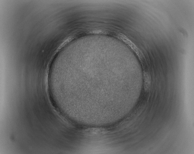 X0000116860482201001051428