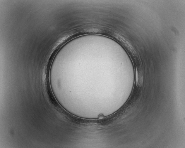 X0000116860483201001051428