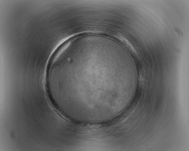 X0000116860484201001051428